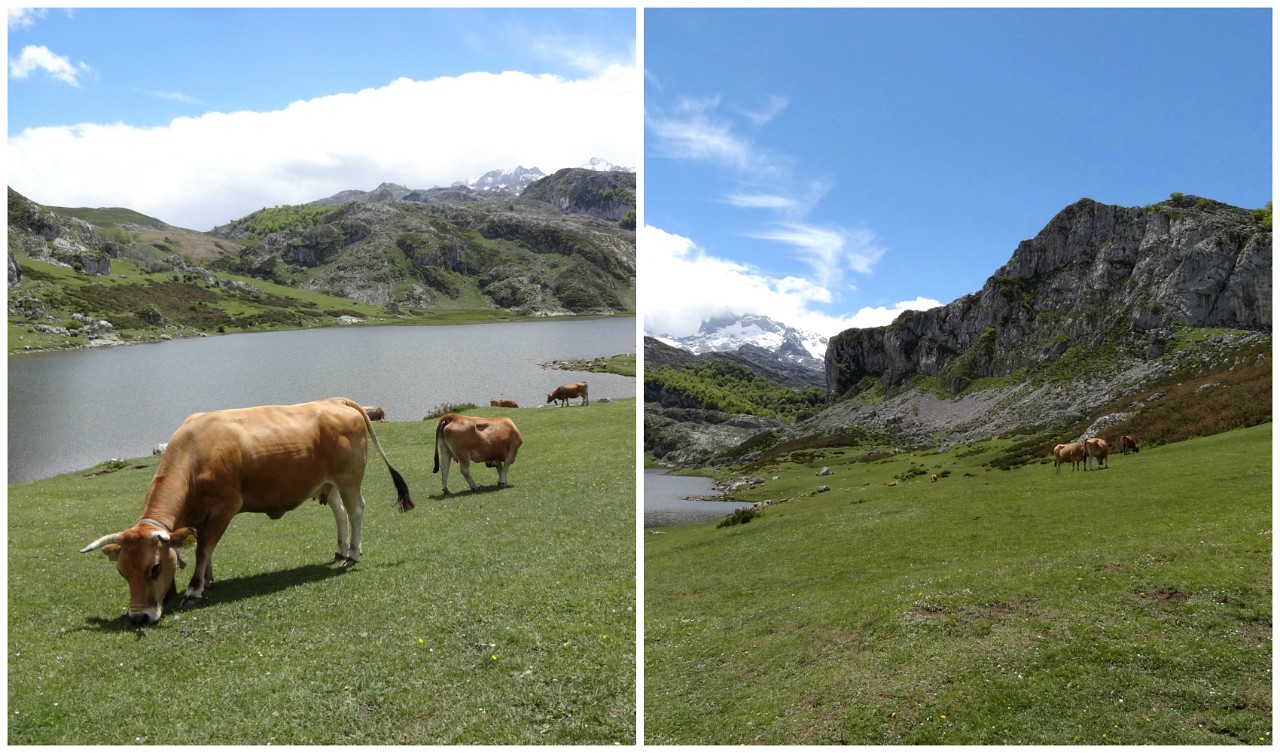 Covadonga Lakes Lago Ercina
